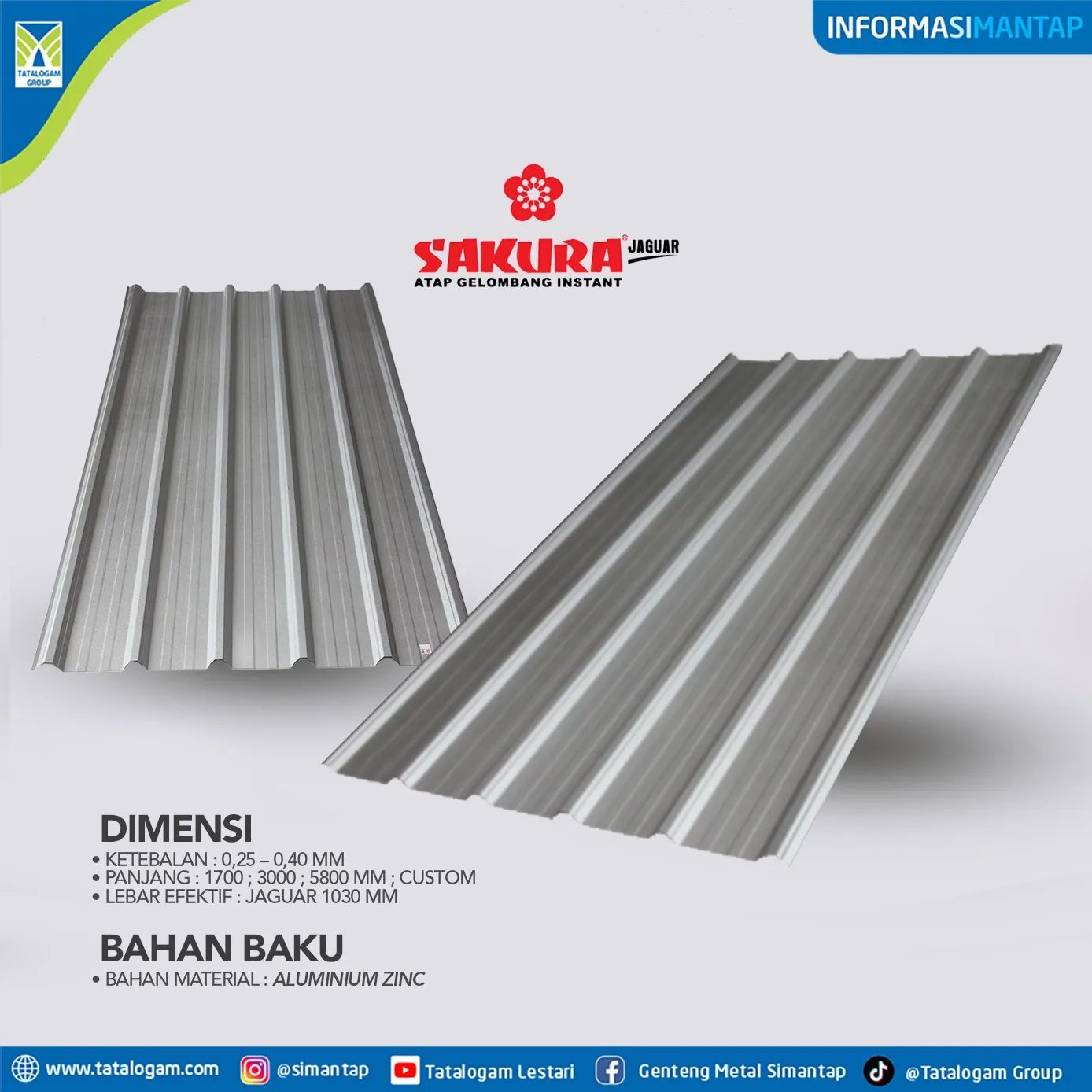 SAKURA JAGUAR 40 SILVER 6.0